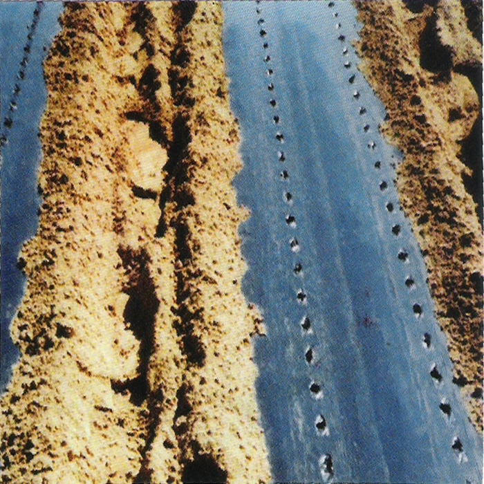 아신산업 다용도<b>파종기</b> ASR-2B(2조식:플라스틱 프레임) 사진2