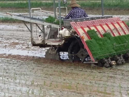 부원 이앙기용 묘판이송기 TK2550