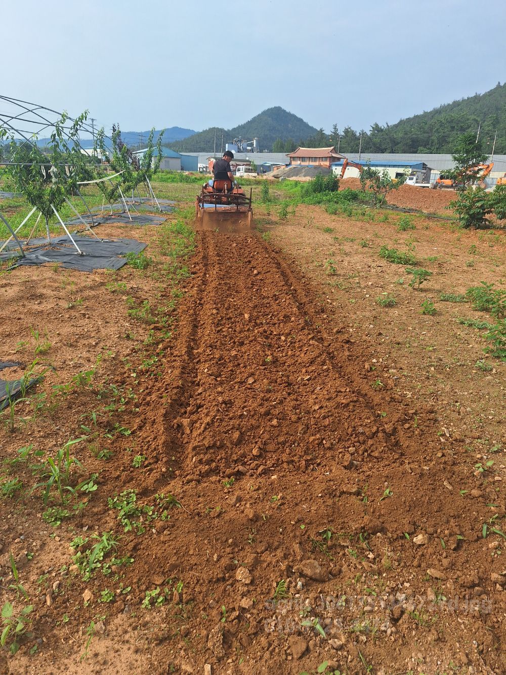 Daedong Tractor  (16hp) 뒤우측면