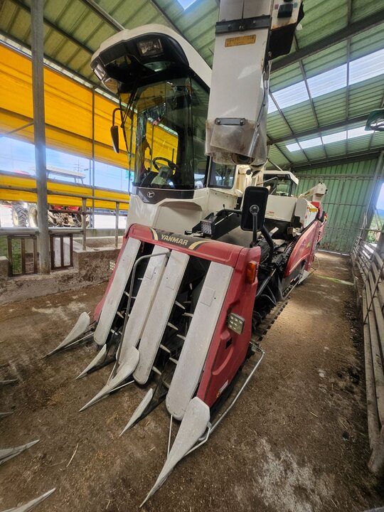 Yanmar Combine Harvester AW473 (4Rows) 앞좌측면