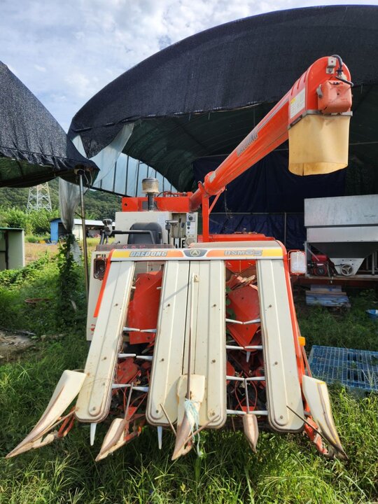 Daedong Combine Harvester DSM65 (4Rows)