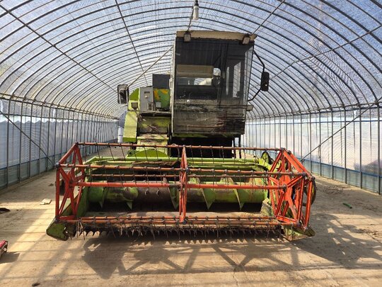 Shibaura Combine Harvester 크라스 (보통형)